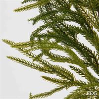 FESTONE CRYPTOMERIA L210 GRE