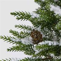 PINO INNEVATO CON VASO H55