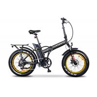 FOLDABLE E-BIKE MINIMAX S+GO