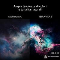 TV OLED 65BRAVIA 6 4K HDR