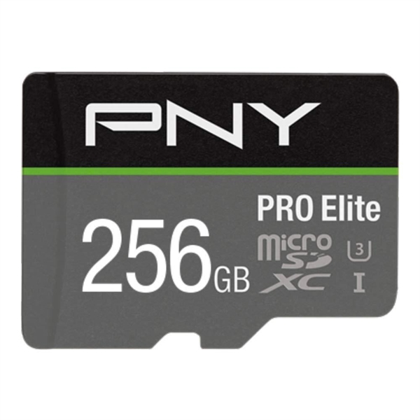 MICROSDXC PRO ELITE 256GB CL