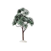 MOUNTAIN PINE EXTRA LARGE