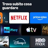 AMAZON FIRE STICK HD TELEC.V
