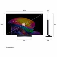 TV 55 OLED SMART EVO